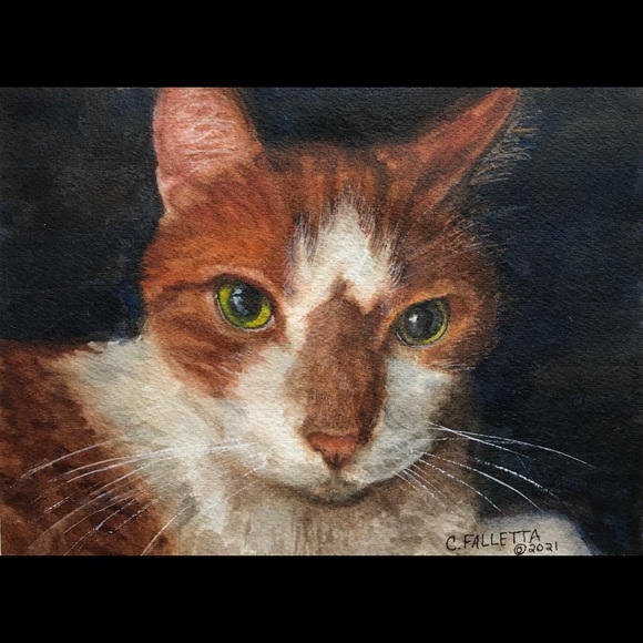 Meet your Posher, Carolyn - Picture 3 of 15